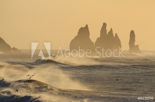 Picture of  Islanda spiaggia nera di Vik